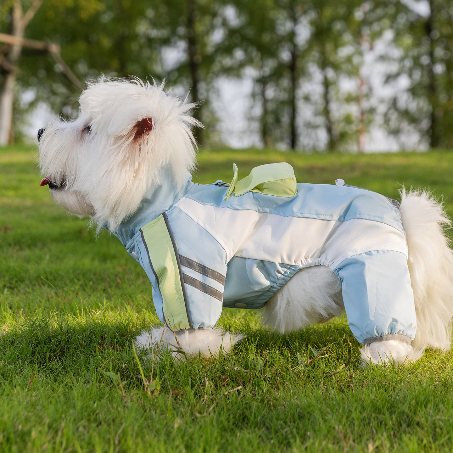 宠物狗狗衣服酷帅三防四腿冲锋棉衣小型犬秋冬款加厚保暖外出衣服