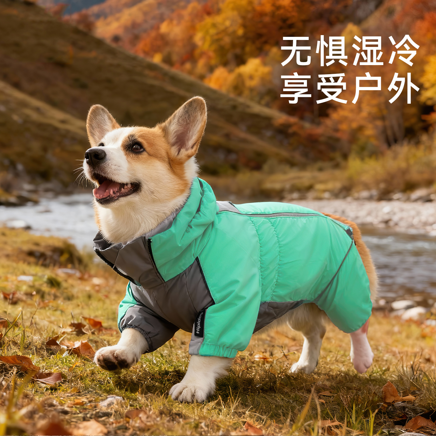 宠物柯基冲锋衣柴犬法斗中大型犬狗狗冲锋衣棉衣户外防风保暖衣服