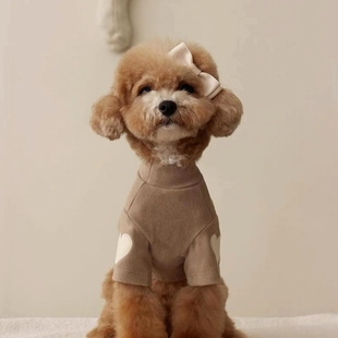 中小型犬两脚泰迪比熊狗狗衣服 爱心德绒打底衫 春夏季 宠物服饰薄款