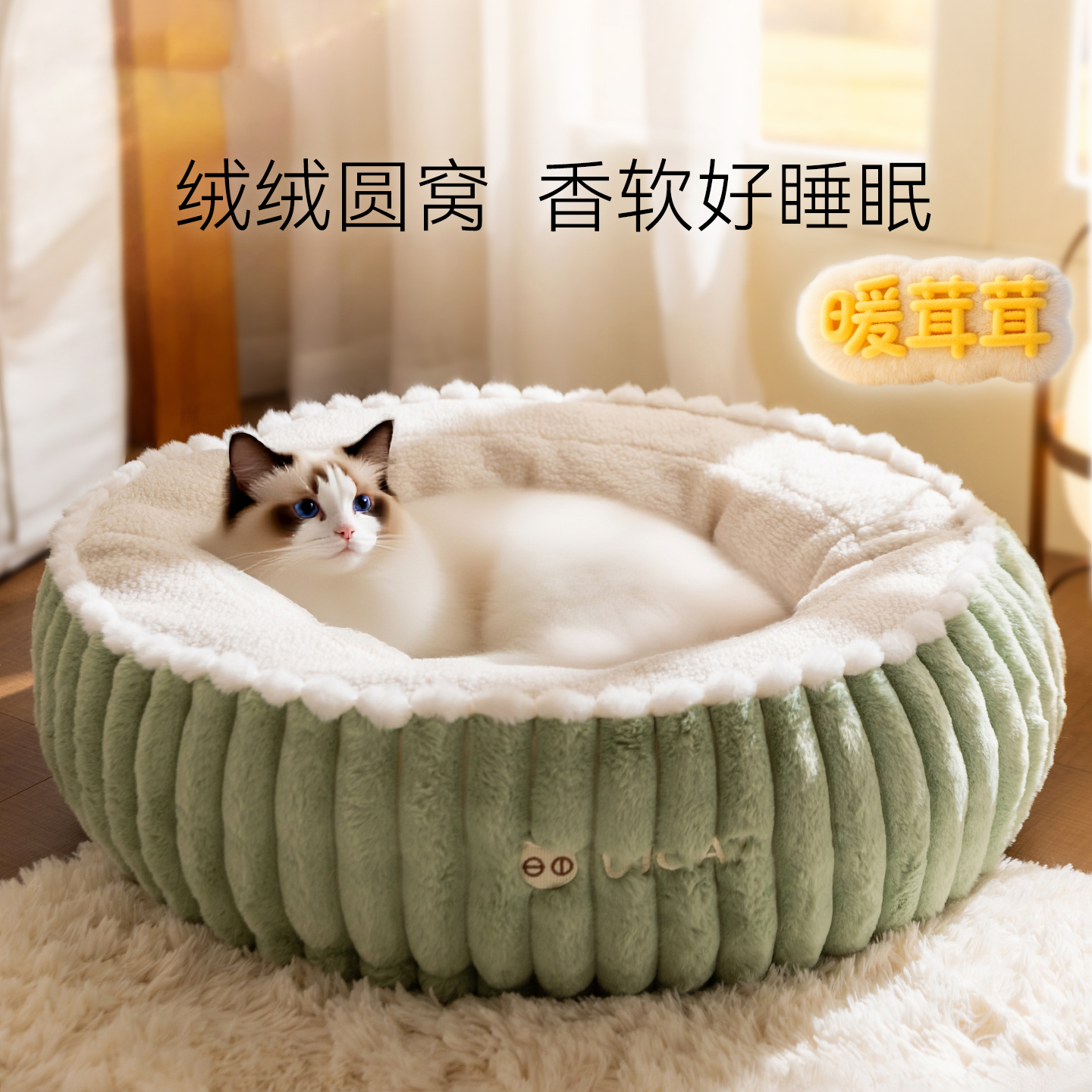 神经猫宠物深度睡眠圆窝