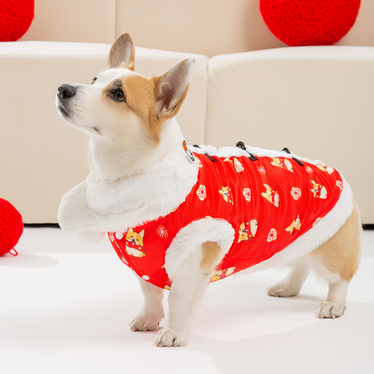 可爱狗狗衣服满印围巾新年唐装柯基柴犬中型犬秋冬季厚款宠物服装,宠物/宠物食品及用品,狗宠物服装/雨衣,淘宝优惠券,粉丝福利购,淘宝优惠卷