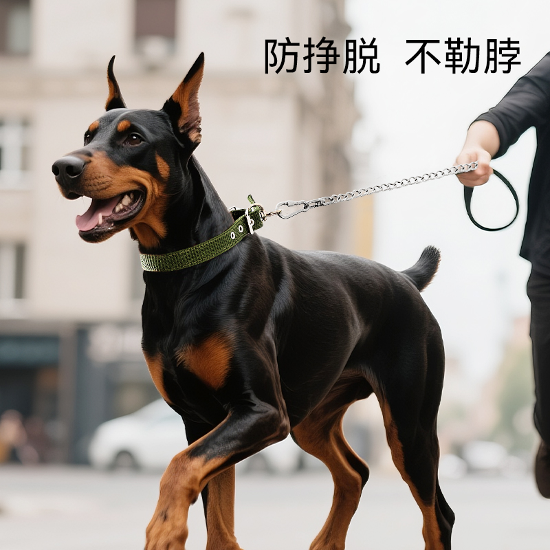 宠物不锈钢狗链牵引绳