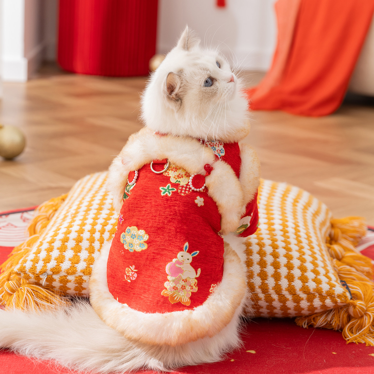 猫衣服富贵花开牵引唐装布偶橘猫小猫咪秋冬季防掉毛保暖宠物服装,宠物/宠物食品及用品,猫宠物服装/雨衣（新）,淘宝优惠券,粉丝福利购,淘宝优惠卷