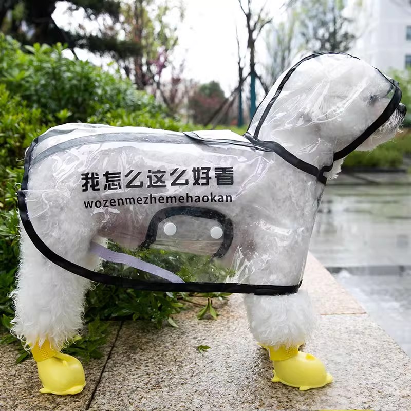 牵引小狗狗透明雨披夜间反光