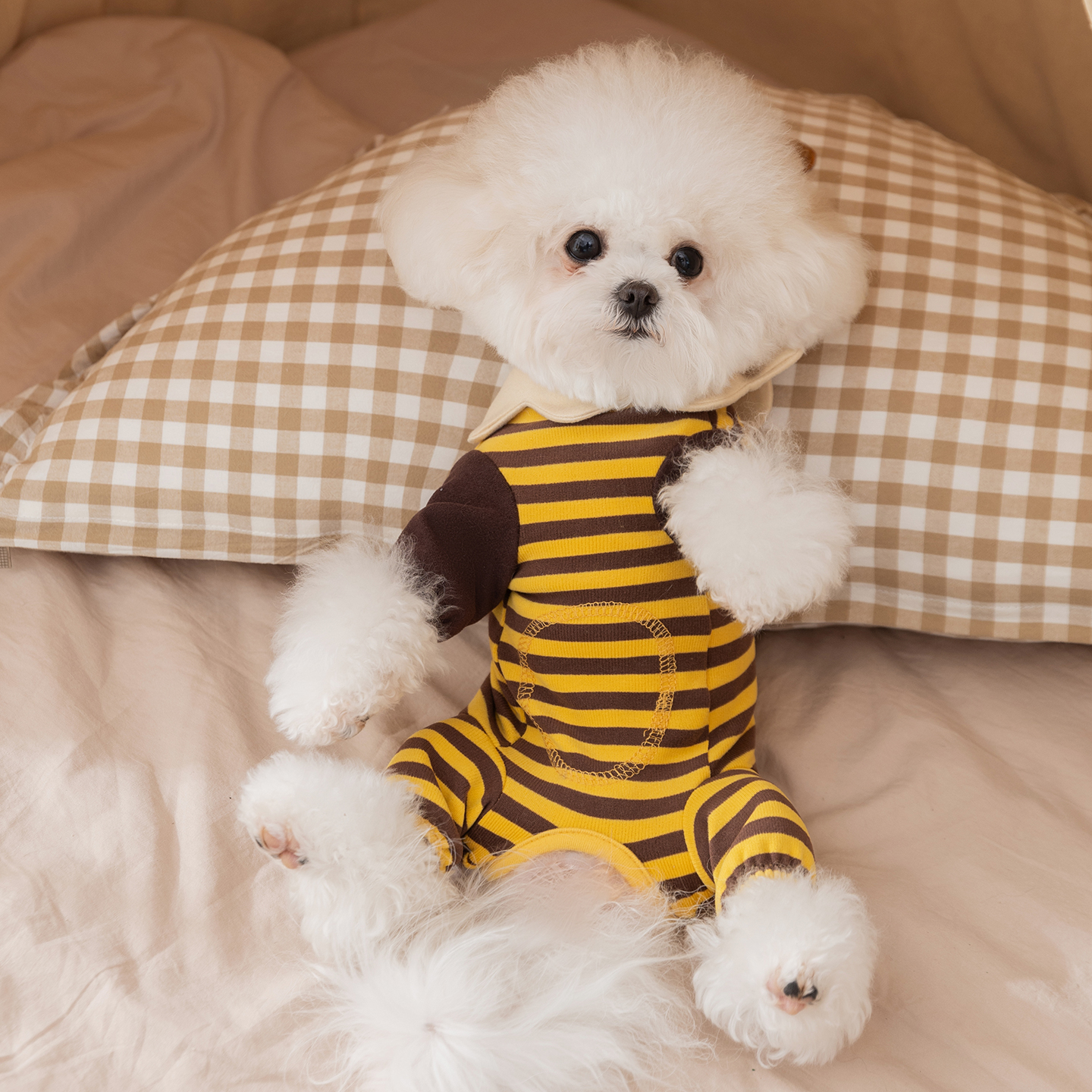 25年新款宠物包肚衣小蜜蜂秋冬季保暖小型犬博美比熊四脚狗狗衣服