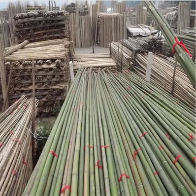 竹支架菜园批竹子竹竿搭架子竹片拱棚竹竿板片种菜小大棚小细菜地