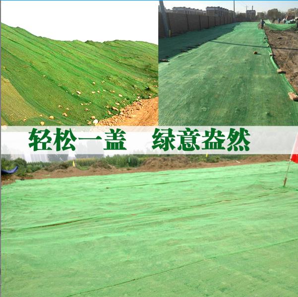 土网网爬藤防尘网网盖土网防植物道路养护遮盖固沙网6针工地工程