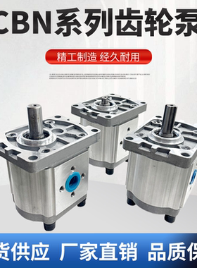 齿轮泵油泵加强齿轮泵CBN