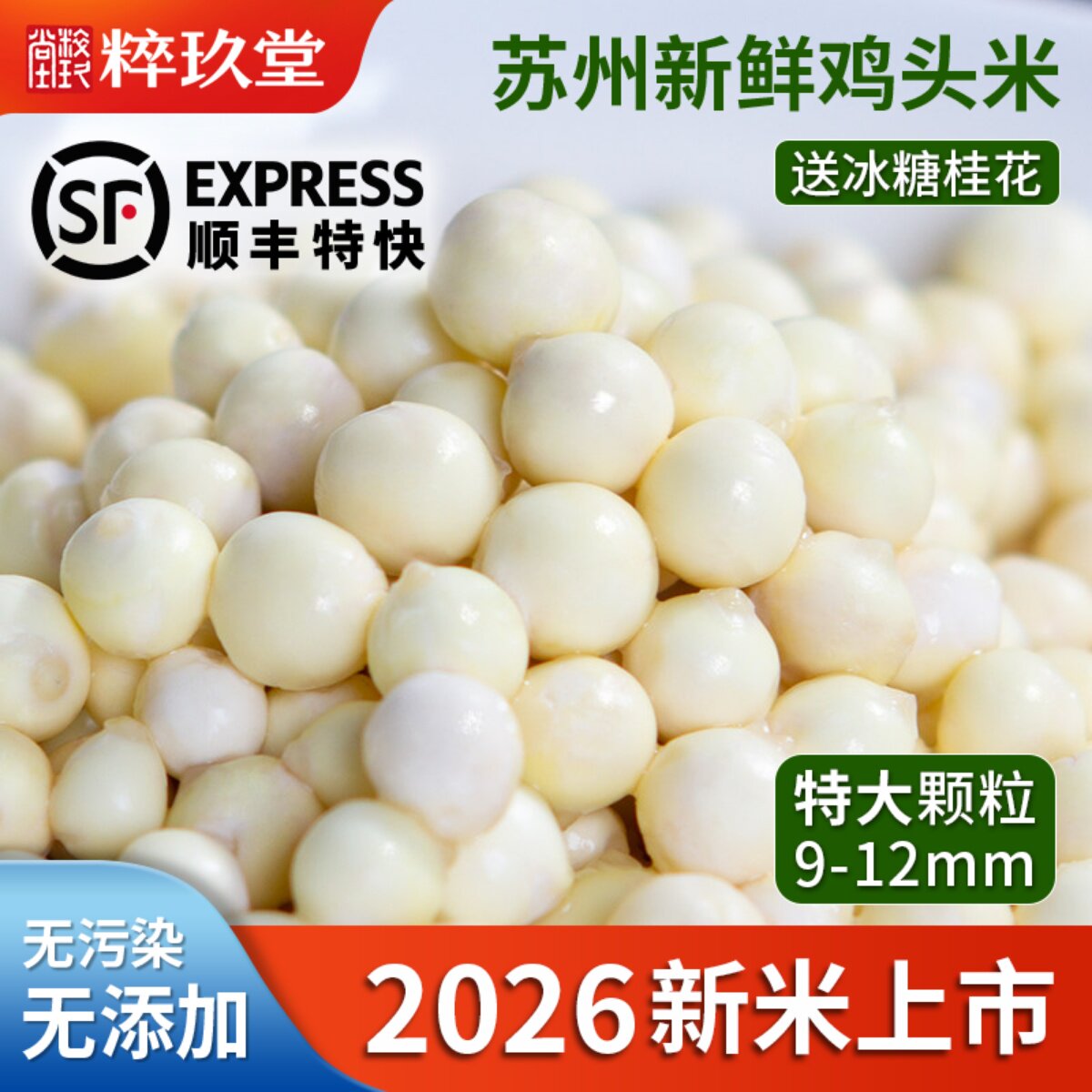2026当季特大苏州新鲜鸡头米顺丰图片
