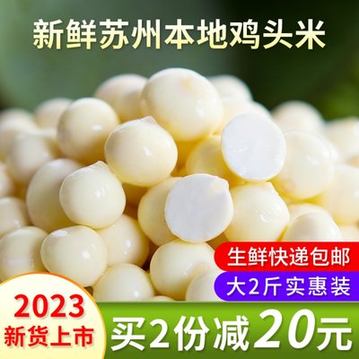 2023新鲜苏州鸡头米生鲜快递包邮