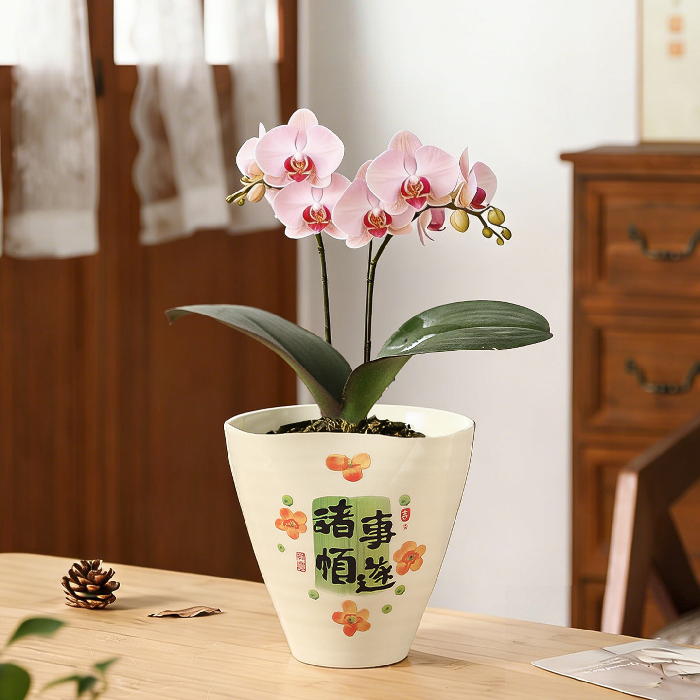 中式简约陶瓷花盆奶油风喜庆家用桌面装饰冬青红果蝴蝶兰花绿植盆,鲜花速递/花卉仿真/绿植园艺,花盆,淘宝优惠券,粉丝福利购,淘宝优惠卷