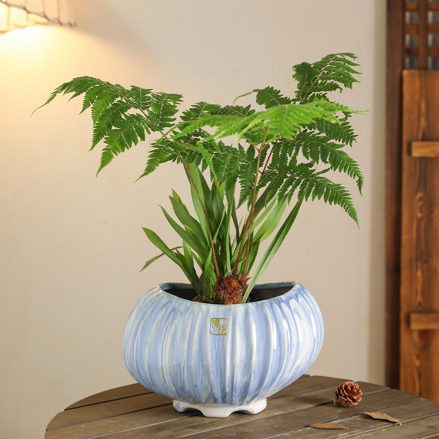 陶瓷花盆新中式简约古典家用高品质大口径三角梅蝴蝶兰绿植盆景盆