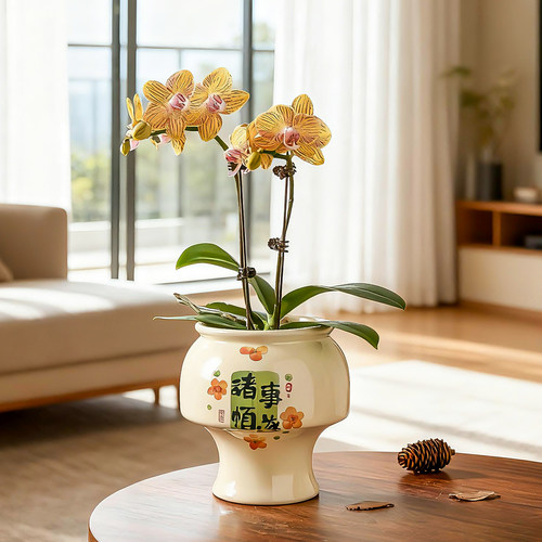 陶瓷花盆简约手绘蝴蝶兰盆送托盘