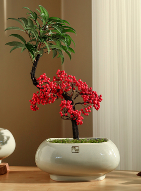 古典新中式长方形造景陶瓷花盆家用蝴蝶兰专用大口径套盆冬青红果