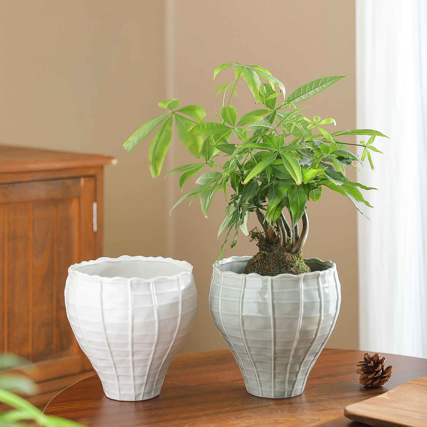 陶瓷花盆现代简约轻奢创意家用