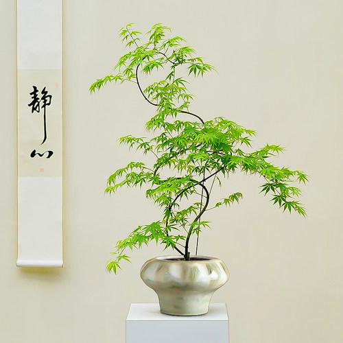 陶瓷花盆现代禅意轻奢桌面装饰