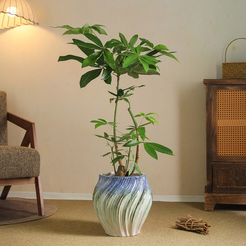 陶瓷花盆中式客厅异形落地大花盆