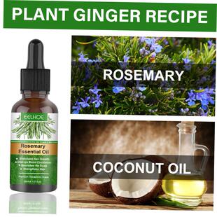 Rosemary hair care essential oil for preventing hair breakag