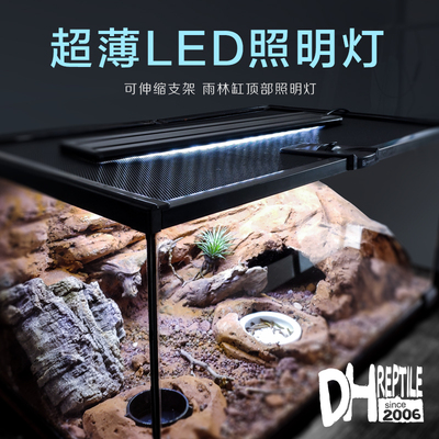 DHREPTIL支支架水龟雨林