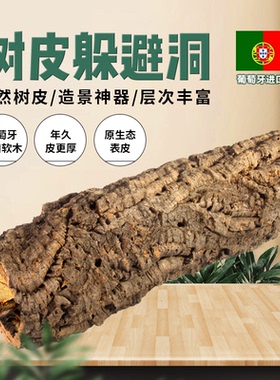 葡萄牙软木爬宠香槟树洞鬃狮躲避树皮爬虫造景守宫婕角树蛙背景板
