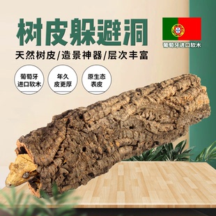 葡萄牙軟木爬寵香檳樹洞鬃獅躲避樹皮爬蟲造景守宮婕角樹蛙背景板