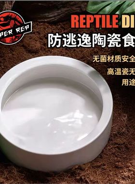 SuperRep爬虫防逃逸食盆爬宠蜥蜴守宫鬃狮面包虫大麦虫无菌陶瓷盆