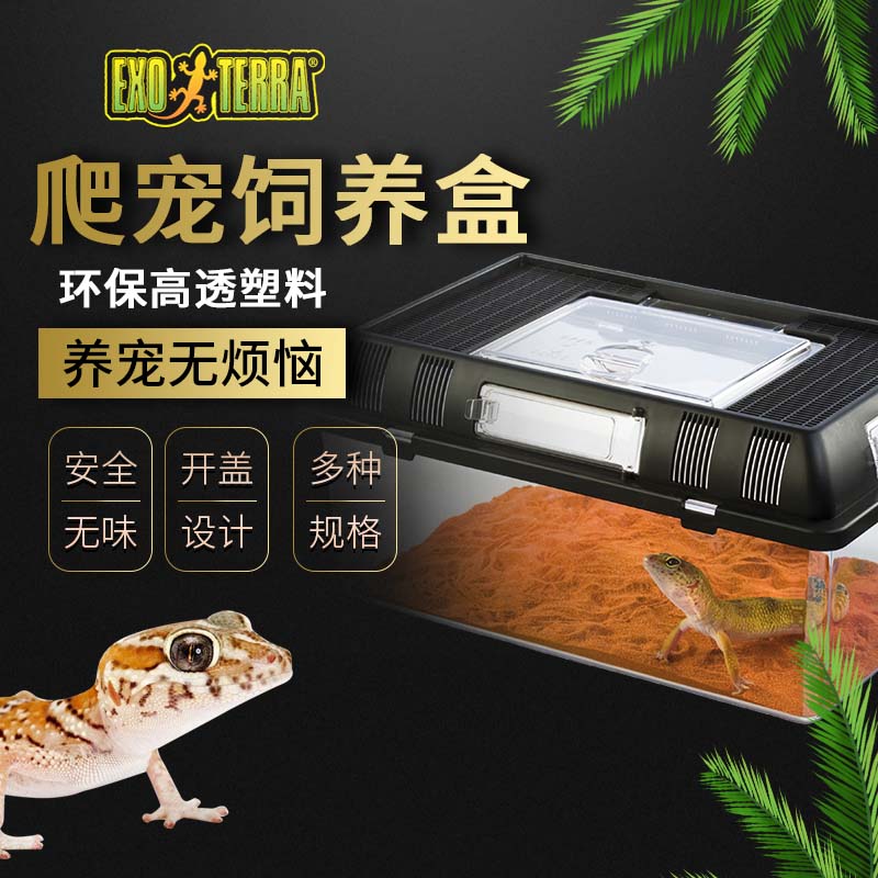 加拿大希瑾爬宠饲养盒蜥蜴蛇守宫角蛙蜘蛛蝎子甲虫塑料便携饲养盒