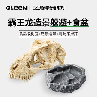 其麟爬宠古生物造景头骨霸王龙头骨造景躲避食盆水盆晒台仿真头骨