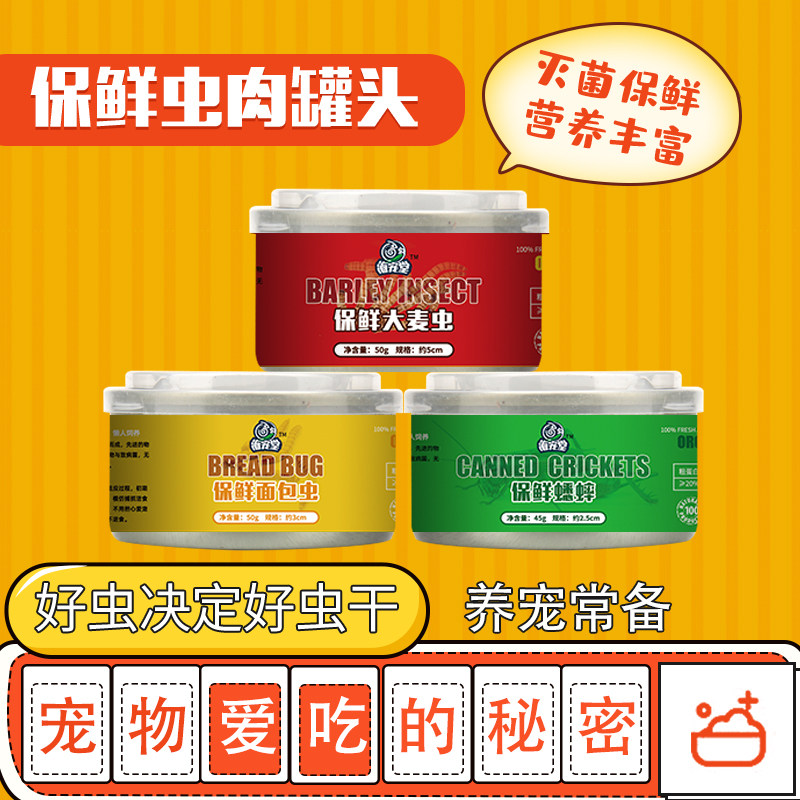 海宠堂爬虫蜥爬虫蜥蜴粮鬃图片