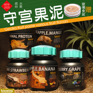 K诺茵爬虫睫角守宫混合水果味昆虫果泥日行盖勾亚魔物巨人R属粮