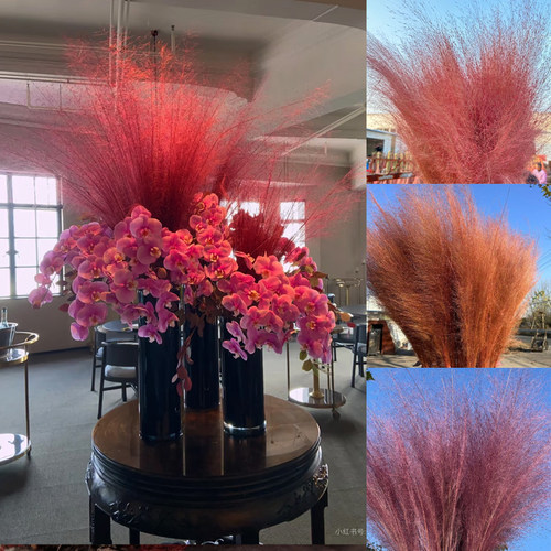 ins粉黛干花100支网红粉黛乱子草婚礼背景家居装饰摆件雾状花束