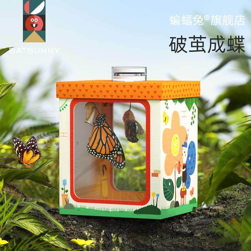 蝙蝠兔活体蝴蝶蛹孵化饲养儿童学生科普观察破蛹茧成蝶圣诞礼物怎么看?