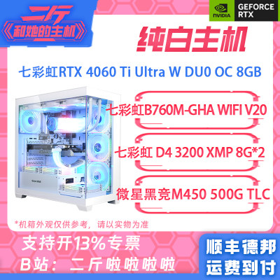 七彩虹RTX4060Ti二斤游戏主机