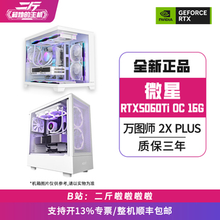 PLUS 万图师 组装 电脑主机 16G WHITE 微星RTX5060Ti 二斤