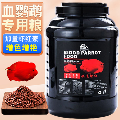 吉唯鱼血鹦鹉山东小中大增红增艳