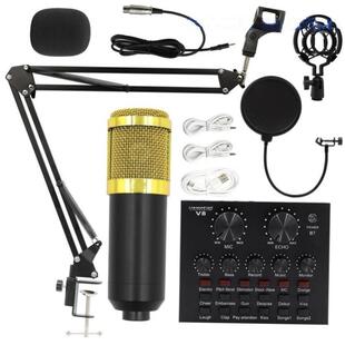 Bm800 condenser microphone + V8 sound card computer recordin