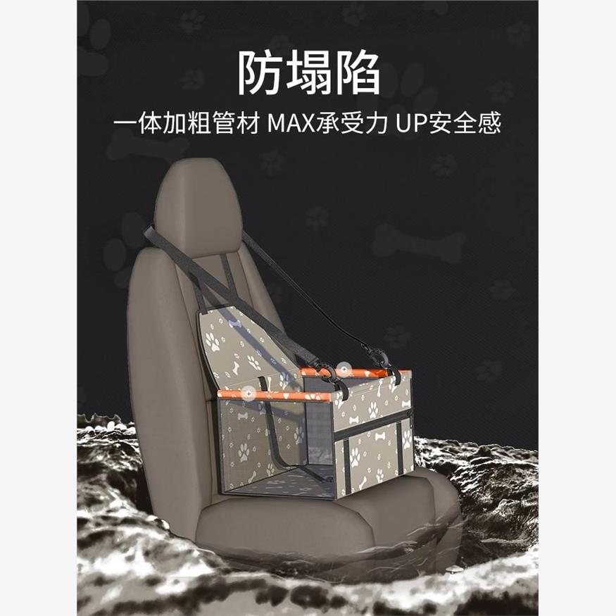 dogcarushioneatpfykl