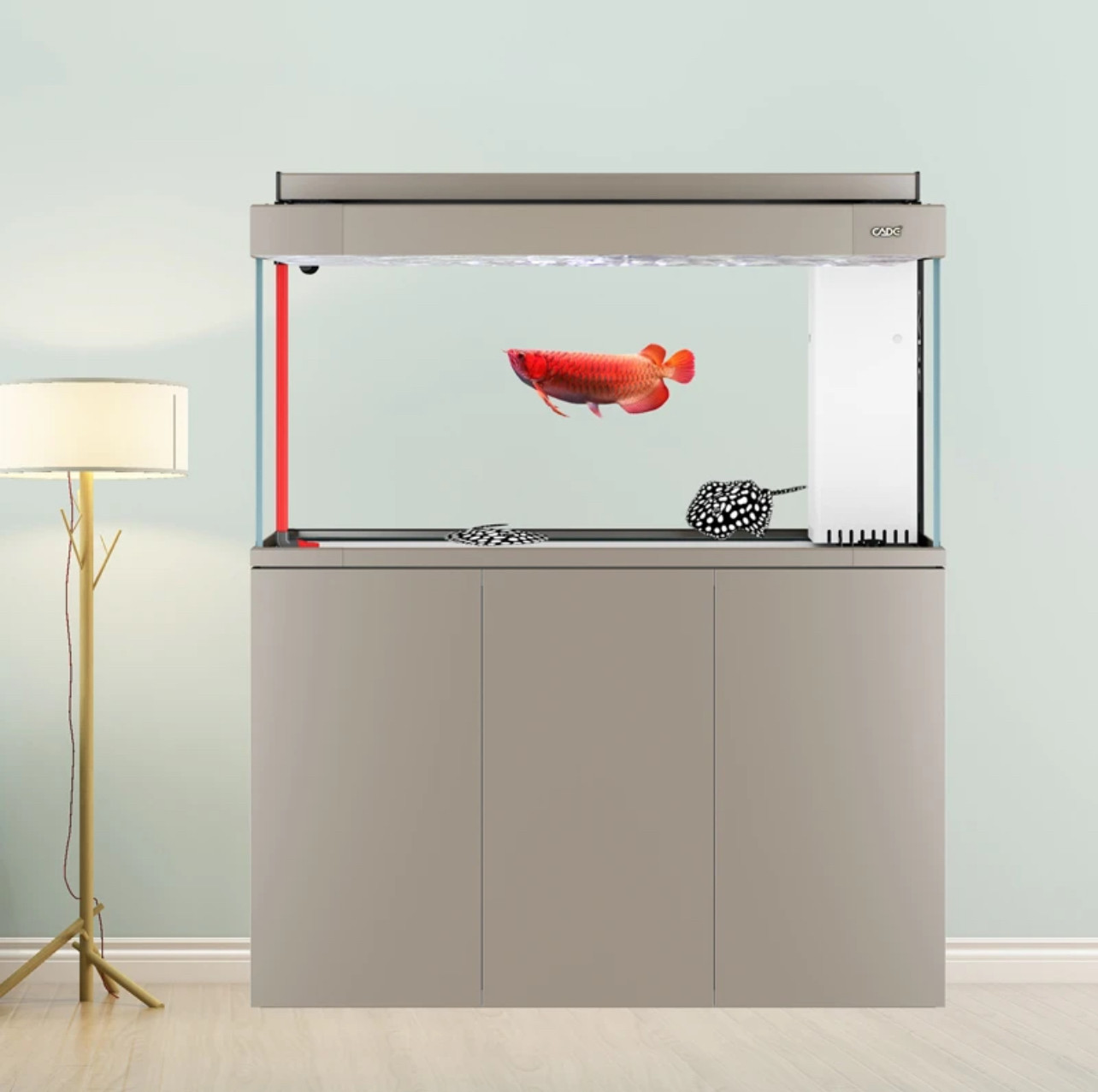 彩鲽DC鱼缸四面超白底过滤水族箱不锈钢底柜可定制【含灯具】图片