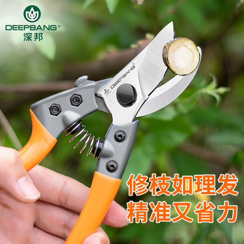 德国进口剪树枝专用剪刀