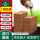 椰砖营养土椰糠椰土养花种菜基质肥料椰壳砖无虫卵低盐多肉营养土