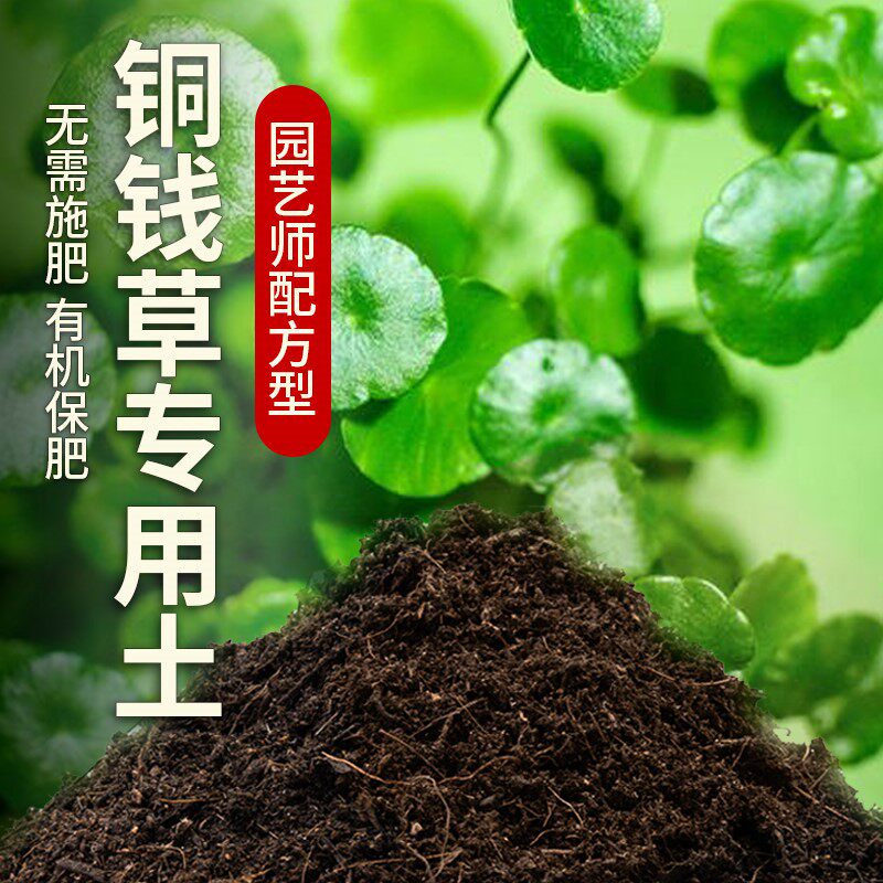 铜钱草专用土盆栽土养花土阳台种植土壤透气泥土铜钱草营养土肥料