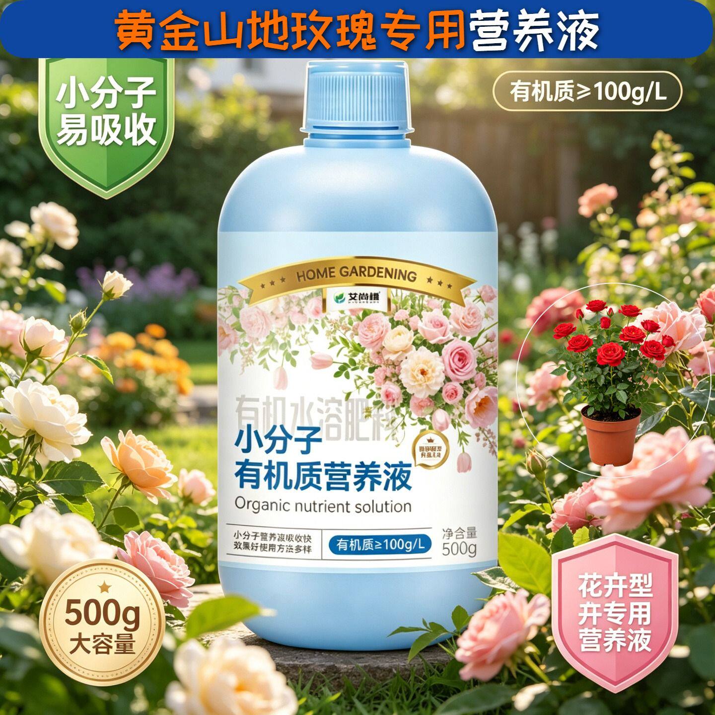 黄金山地玫瑰适用观花型营养液小分子氨基酸兑水即用盆栽快速吸收