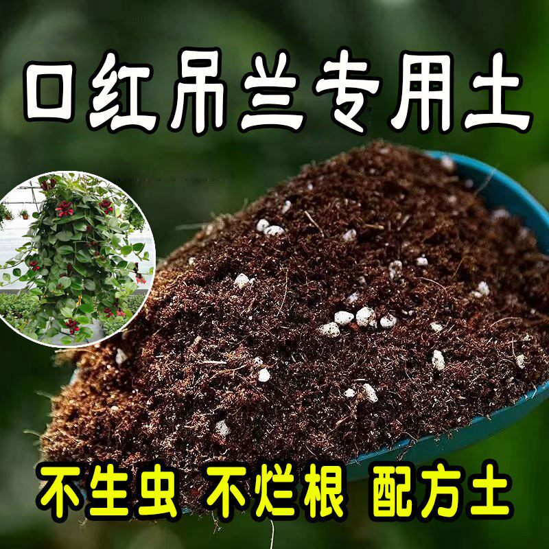 口红吊兰专用营养土花卉营养土养花泥炭土通用种花土壤花土