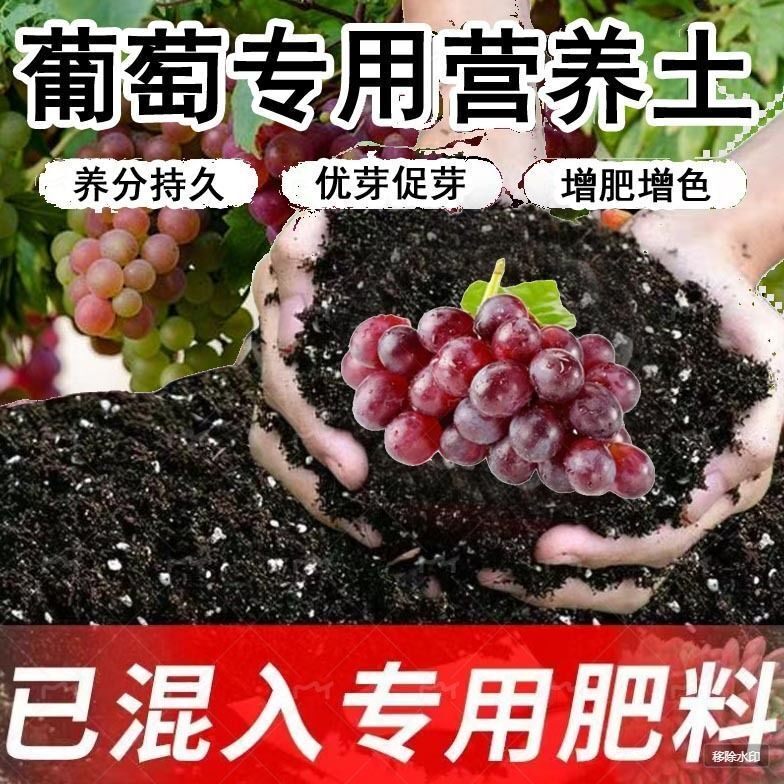 葡萄树专用土营养土阳光玫瑰种植土壤盆栽土育苗土家用有机土肥料