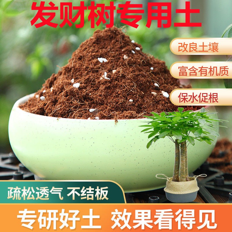 发财树专用营养土盆栽土疏松透气家用绿植酸性土种植有机肥料喷壶