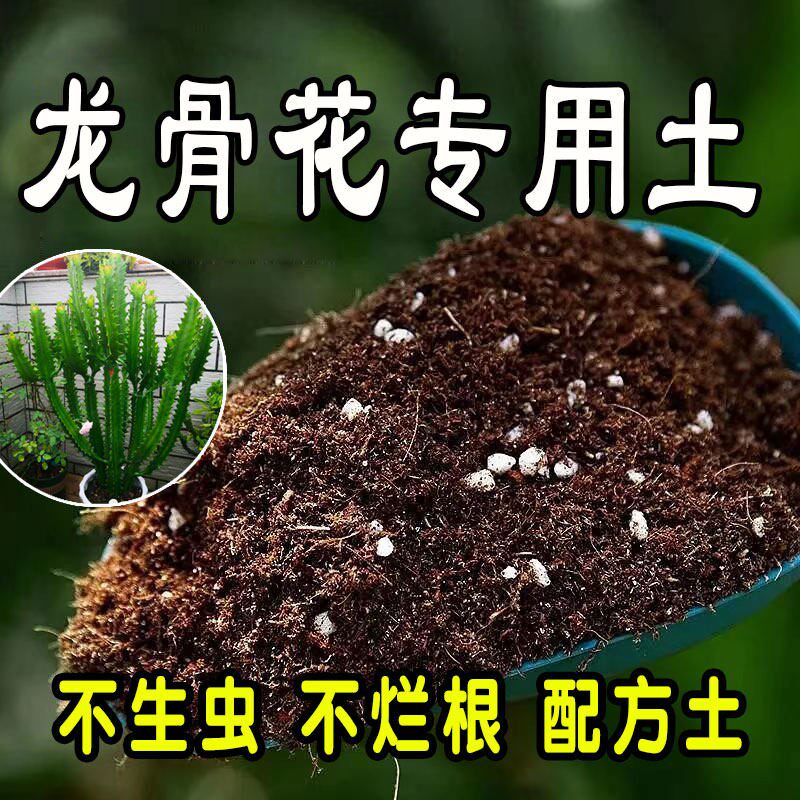 龙骨花专用营养土种植土盆栽营养土通用肥料土壤种花养花土绿植土