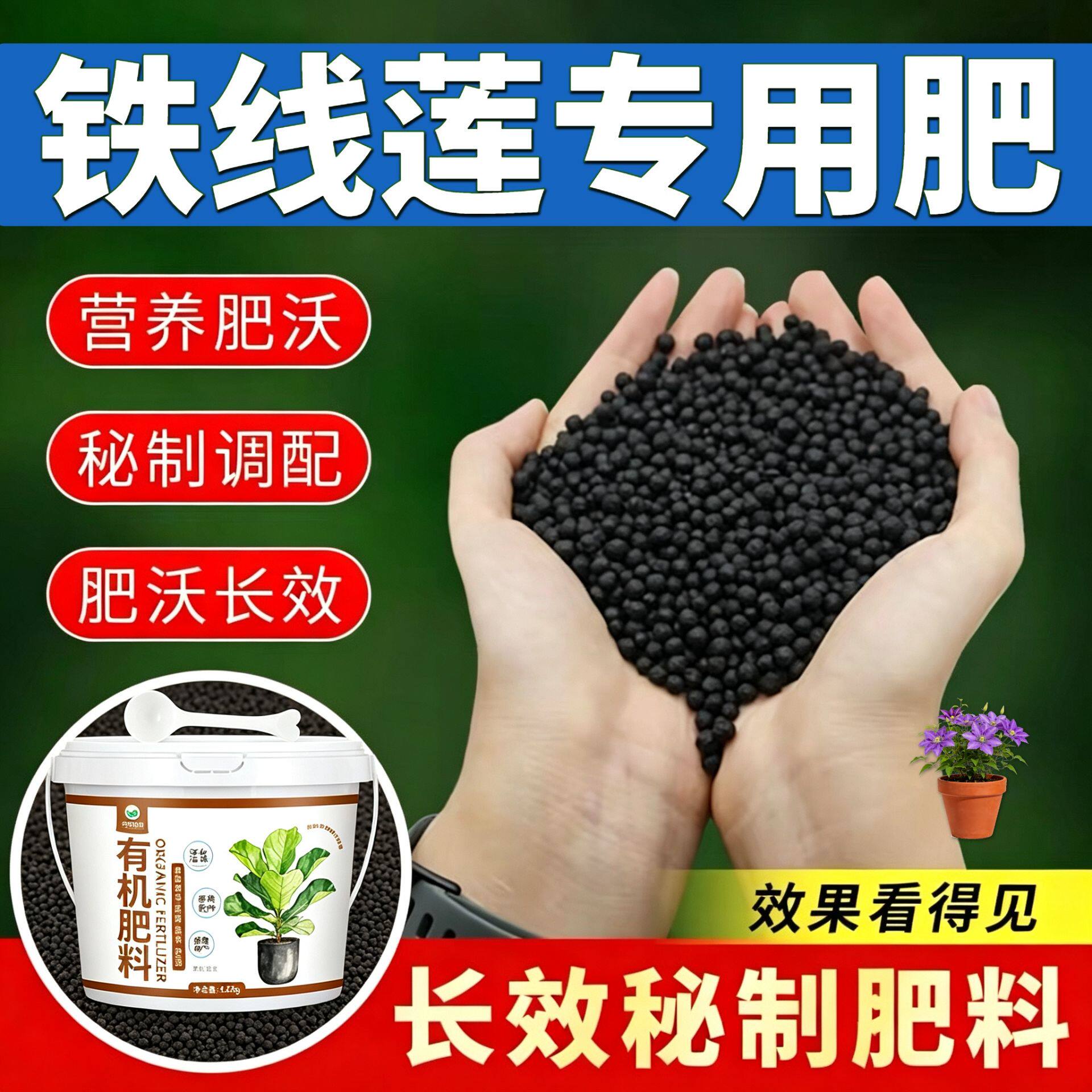 铁线莲专用肥复合肥缓释长效花多色艳阳台营养肥不烧苗适用肥盆栽