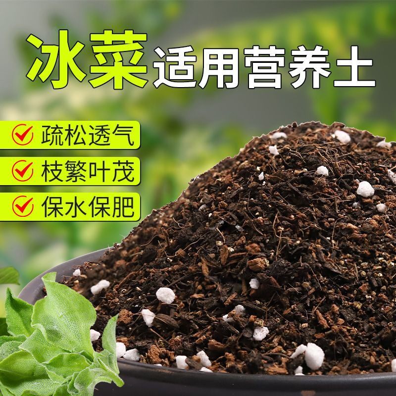 【冰菜专用土】疏松透气盆栽绿植专用园艺室内植物有机营养土肥料