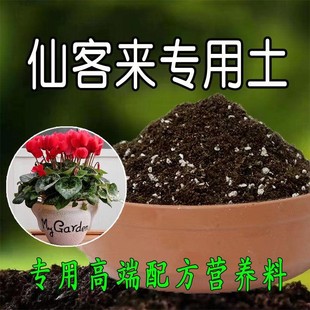 种仙客来专用土壤花土营养土球根植物专用土土壤有机种植土腐殖土