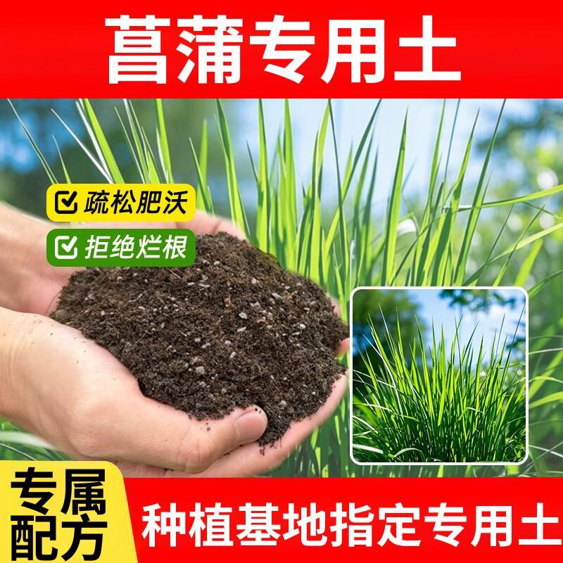 菖蒲专用土花草阳台种花土蓬松花肥有机透气发酵菖蒲专用营养土